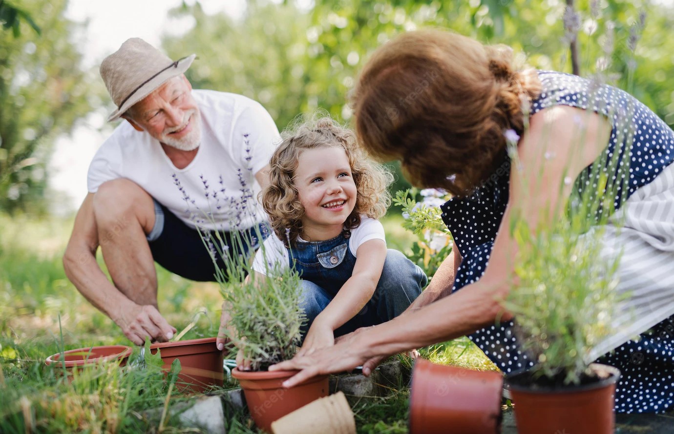 5 Fun Family Activities to do for Earth Day 2022: Explore and Enjoy your Backyard Again with an Outdoor Stairlift